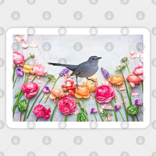 Gray Catbird in the Flower Garden Sticker by lauradyoung